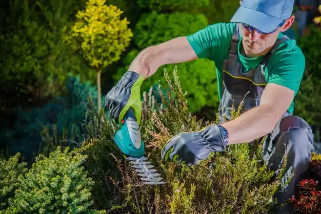 landscaping services Cuba